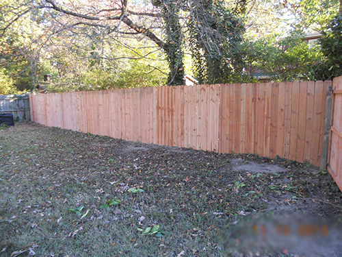 Fencing 
